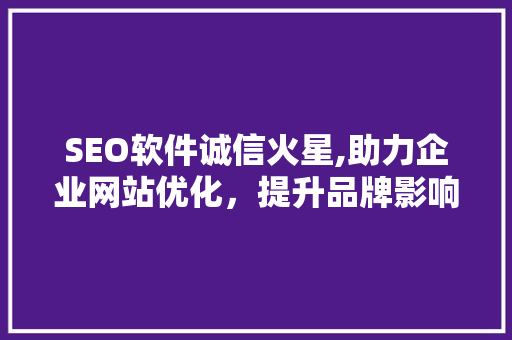 SEO软件诚信火星,助力企业网站优化，提升品牌影响力