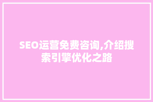SEO运营免费咨询,介绍搜索引擎优化之路