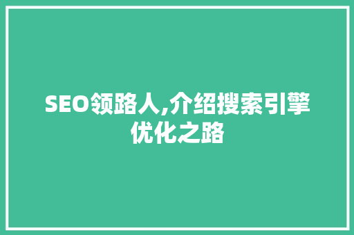 SEO领路人,介绍搜索引擎优化之路