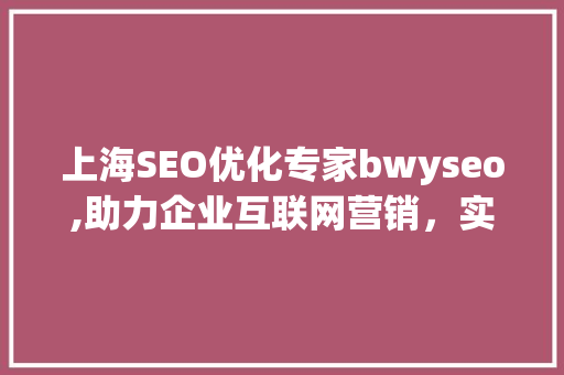 上海SEO优化专家bwyseo,助力企业互联网营销，实现高效增长