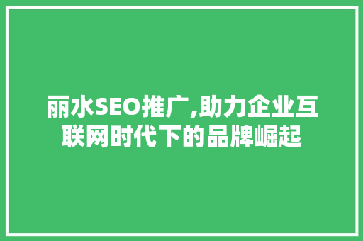 丽水SEO推广,助力企业互联网时代下的品牌崛起