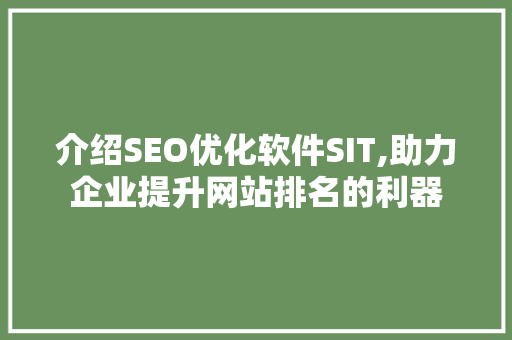介绍SEO优化软件SIT,助力企业提升网站排名的利器