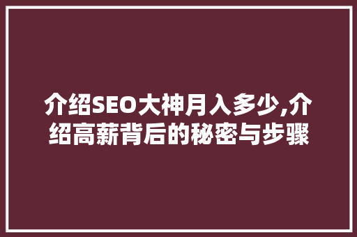 介绍SEO大神月入多少,介绍高薪背后的秘密与步骤