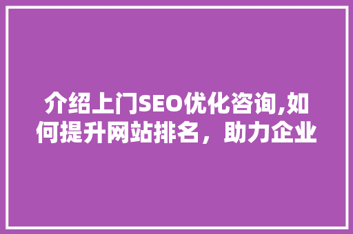 介绍上门SEO优化咨询,如何提升网站排名，助力企业腾飞