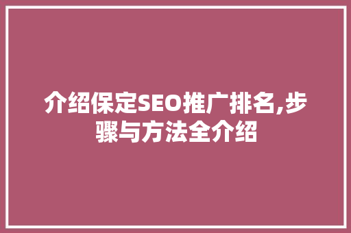 介绍保定SEO推广排名,步骤与方法全介绍