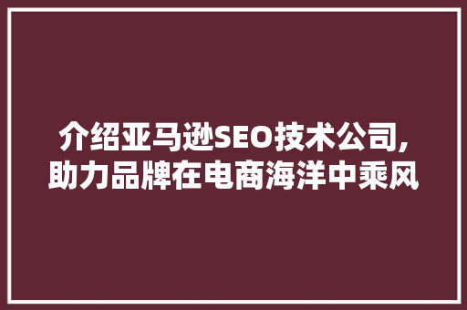 介绍亚马逊SEO技术公司,助力品牌在电商海洋中乘风破浪