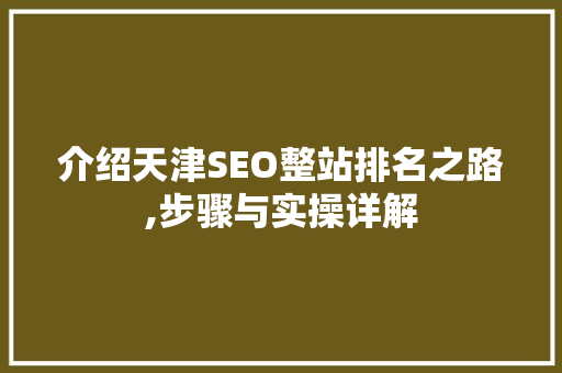 介绍天津SEO整站排名之路,步骤与实操详解