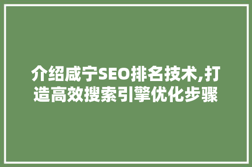 介绍咸宁SEO排名技术,打造高效搜索引擎优化步骤