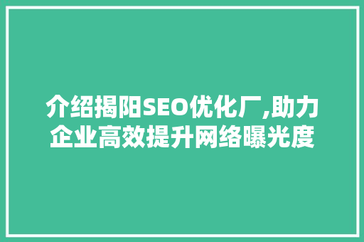 介绍揭阳SEO优化厂,助力企业高效提升网络曝光度