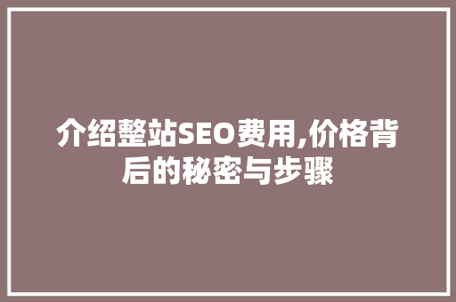 介绍整站SEO费用,价格背后的秘密与步骤