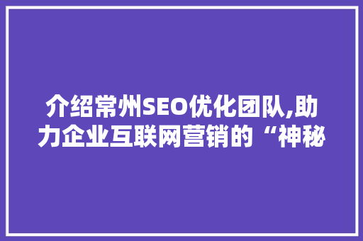 介绍常州SEO优化团队,助力企业互联网营销的“神秘力量”
