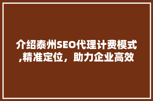 介绍泰州SEO代理计费模式,精准定位，助力企业高效推广