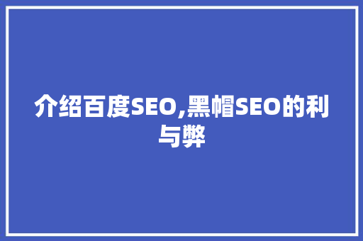 介绍百度SEO,黑帽SEO的利与弊