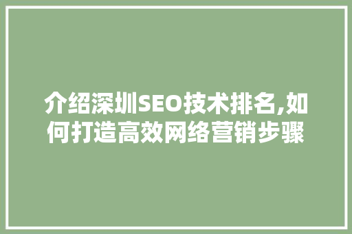 介绍深圳SEO技术排名,如何打造高效网络营销步骤