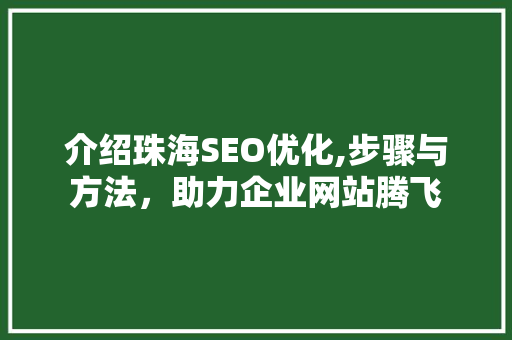 介绍珠海SEO优化,步骤与方法，助力企业网站腾飞