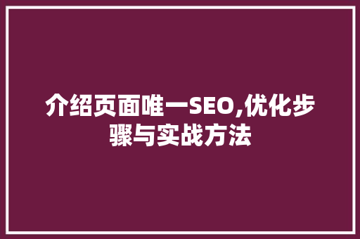 介绍页面唯一SEO,优化步骤与实战方法