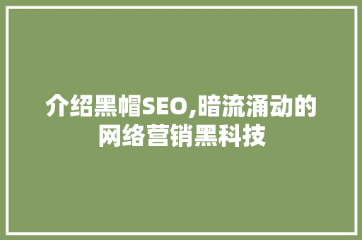 介绍黑帽SEO,暗流涌动的网络营销黑科技