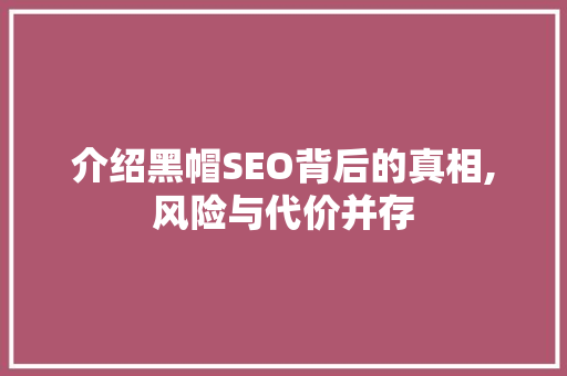 介绍黑帽SEO背后的真相,风险与代价并存