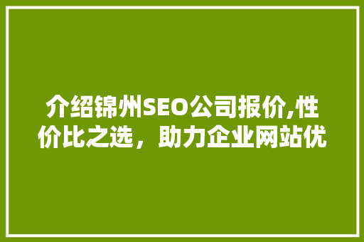 介绍锦州SEO公司报价,性价比之选，助力企业网站优化