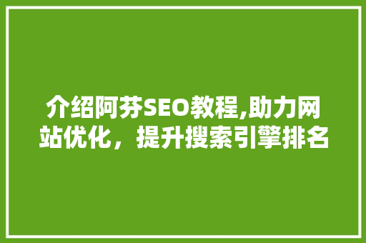 介绍阿芬SEO教程,助力网站优化，提升搜索引擎排名
