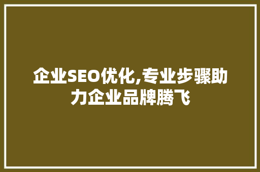 企业SEO优化,专业步骤助力企业品牌腾飞
