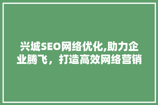 兴城SEO网络优化,助力企业腾飞，打造高效网络营销步骤