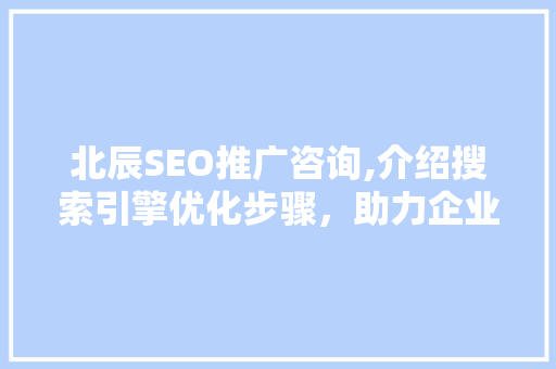 北辰SEO推广咨询,介绍搜索引擎优化步骤，助力企业提升在线竞争力