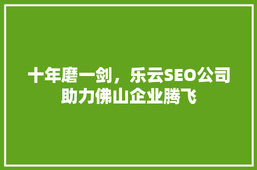 十年磨一剑，乐云SEO公司助力佛山企业腾飞