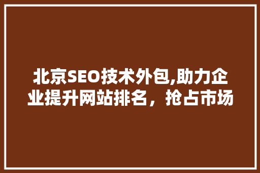 北京SEO技术外包,助力企业提升网站排名，抢占市场先机