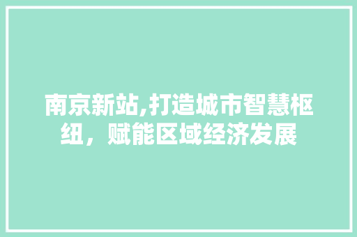南京新站,打造城市智慧枢纽，赋能区域经济发展