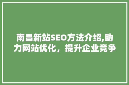 南昌新站SEO方法介绍,助力网站优化，提升企业竞争力