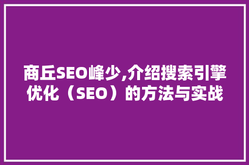 商丘SEO峰少,介绍搜索引擎优化（SEO）的方法与实战方法