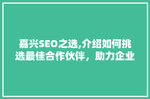 嘉兴SEO之选,介绍如何挑选最佳合作伙伴，助力企业腾飞