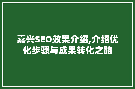 嘉兴SEO效果介绍,介绍优化步骤与成果转化之路