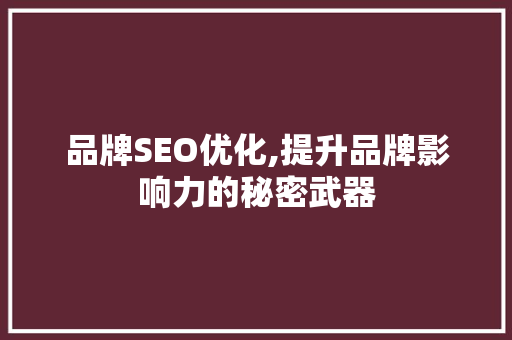 品牌SEO优化,提升品牌影响力的秘密武器