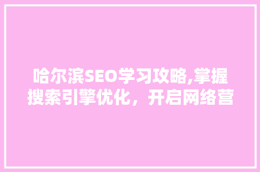 哈尔滨SEO学习攻略,掌握搜索引擎优化，开启网络营销新篇章