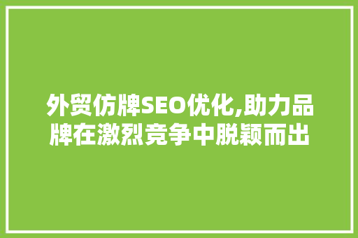外贸仿牌SEO优化,助力品牌在激烈竞争中脱颖而出