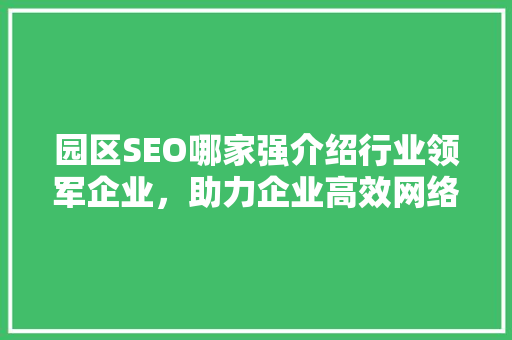 园区SEO哪家强介绍行业领军企业，助力企业高效网络营销