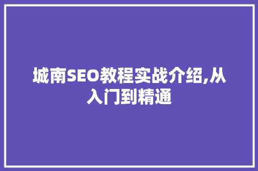 城南SEO教程实战介绍,从入门到精通