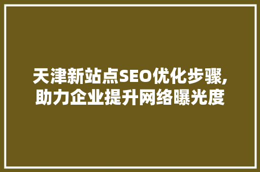 天津新站点SEO优化步骤,助力企业提升网络曝光度