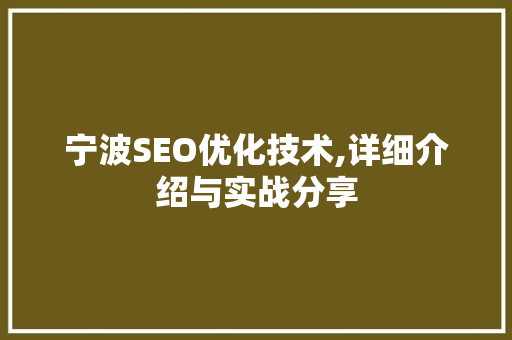 宁波SEO优化技术,详细介绍与实战分享