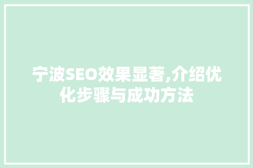 宁波SEO效果显著,介绍优化步骤与成功方法