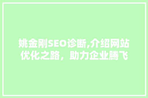 姚金刚SEO诊断,介绍网站优化之路，助力企业腾飞