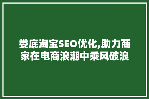 娄底淘宝SEO优化,助力商家在电商浪潮中乘风破浪