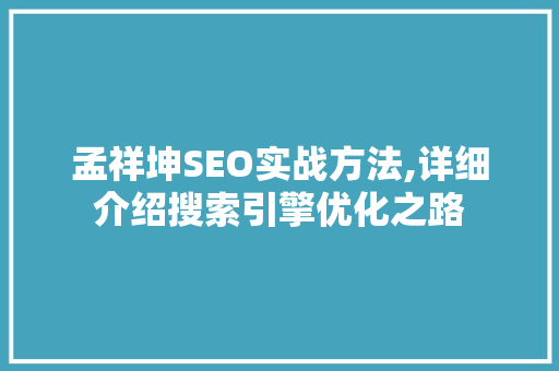 孟祥坤SEO实战方法,详细介绍搜索引擎优化之路