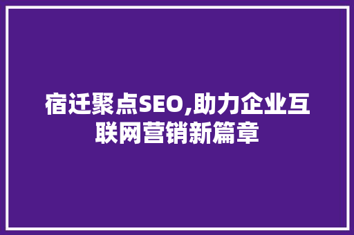 宿迁聚点SEO,助力企业互联网营销新篇章