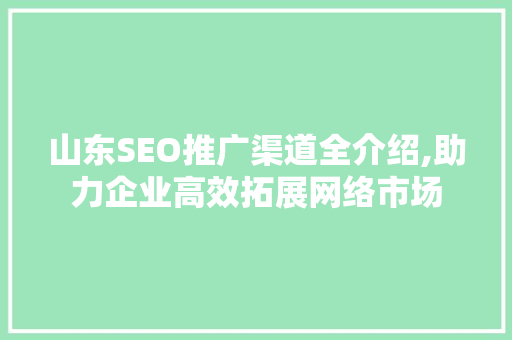 山东SEO推广渠道全介绍,助力企业高效拓展网络市场