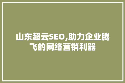 山东超云SEO,助力企业腾飞的网络营销利器