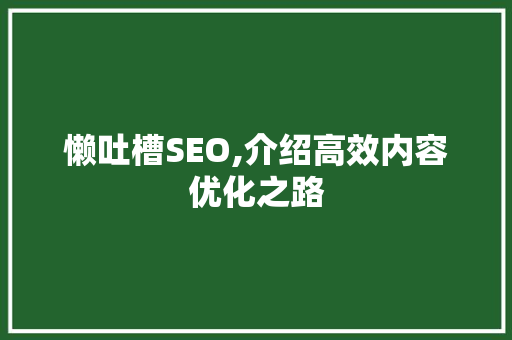 懒吐槽SEO,介绍高效内容优化之路