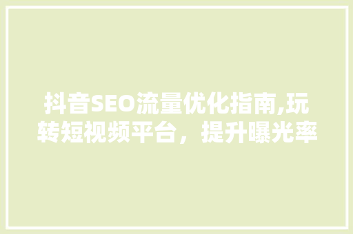 抖音SEO流量优化指南,玩转短视频平台，提升曝光率